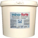 Mina-Forte